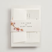 "Love Blossom" - Belly Bands in Blush by Petra Kern - Assembled with Invitation