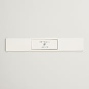 "Elegant Type" - Belly Bands in Pearl by Leah Bisch - Front