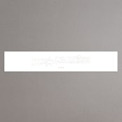 "Starry Sky" - Gloss-Press® Belly Bands in Iridescent by Phrosné Barwood - Front