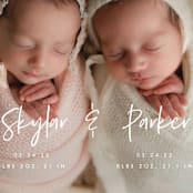 "Twin Names" - Birth Announcements in Bubblegum by Vera Lim - Detail