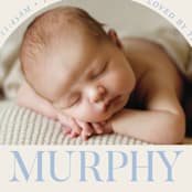 "Type Arch" - Birth Announcements in Bluebird Day by Baumbirdy - Detail