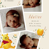 "Our Little Hunny" - Birth Announcements in Honey by Oma N. Ramkhelawan - Detail