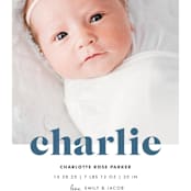 "Bold Nickname" - Birth Announcements in Bluebird by Shirley Lin Schneider - Detail