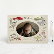 "Woodland wonder" - Birth Announcements in Lichen by Bonnie Davis - Front