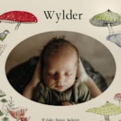 "Woodland wonder" - Birth Announcements in Lichen by Bonnie Davis - Detail