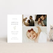 "Tiny Sprig" - Birth Announcements in Sage by Sarah Brown - Front