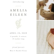 "Tiny Sprig" - Birth Announcements in Sage by Sarah Brown - Detail