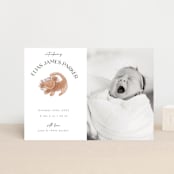 "Disney The Little Lion King" - Birth Announcements in Desert by Maja Cunningham - Front