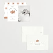 "Disney The Little Lion King" - Birth Announcements in Desert by Maja Cunningham - Assembled