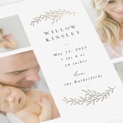 "Delicate Foliage" - Birth Announcements in Onyx by Brandy Folse - Detail