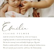 "Our Story" - Birth Announcements in Chocolate by Jessica Williams - Detail