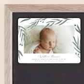 "Olive Branches" - Birth Announcements in Sage by Joanna Griffin - Front