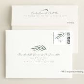"Olive Branches" - Birth Announcements in Sage by Joanna Griffin - FREE Recipient Addressing
