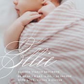"Precious Script" - Birth Announcements in Sugar by Jessica Williams - Detail