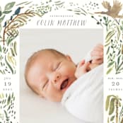 "Jungle Friends" - Birth Announcements in Jungle by Morgan Ramberg - Detail