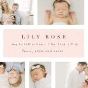 "Family Album" - Birth Announcements in Blush by Maria Alou - Detail