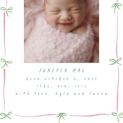 "Preppy Bow Border" - Birth Announcements in Candy by Susan Zinader - Detail