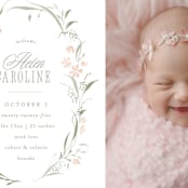 "Dottie" - Birth Announcements in Sweet Pea by Erin L. Wilson - Detail