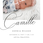 "the script" - Birth Announcements in Ebony by Benita Crandall - Detail