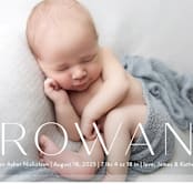 "Frosted Frame" - Birth Announcements in Sugar by Jessica Williams - Detail