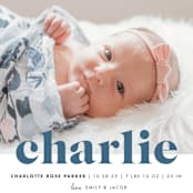 "Bold Nickname" - Birth Announcements in Bluebird by Shirley Lin Schneider - Detail
