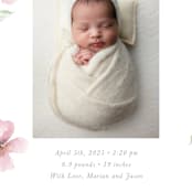 "Flower Petals" - Birth Announcements in Petals by Melinda Denison - Detail