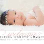 "Graceful Entrance" - Birth Announcements in Flamingo by Jessica Williams - Detail