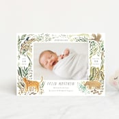 "Jungle Friends" - Birth Announcements in Jungle by Morgan Ramberg - Front