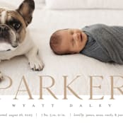 "modern classic" - Birth Announcements in Toffee by Eric Clegg - Detail