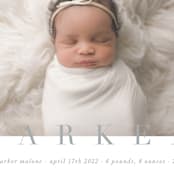 "classic baby" - Birth Announcements in Cement by Sara Hicks Malone - Detail