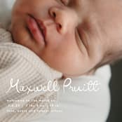 "Written Whimsy" - Birth Announcements in Snow by Lauren Chism - Detail