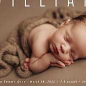 "Skyline" - Birth Announcements in Pearl by Sara Hicks Malone - Detail