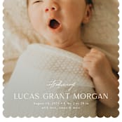 "First Glimpse" - Birth Announcements in Icing by Yaling Hou Suzuki - Detail