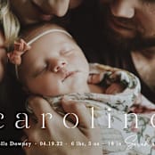 "Classically Stated" - Birth Announcements in Sugar by Sara Hicks Malone - Detail