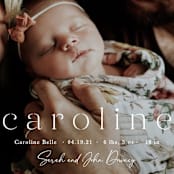 "Classically Stated" - Birth Announcements in Sugar by Sara Hicks Malone - Detail