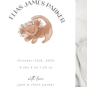 "Disney The Little Lion King" - Birth Announcements in Desert by Maja Cunningham - Detail