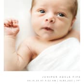 "Chic Introduction" - Birth Announcements in Storm by Olivia Raufman - Detail