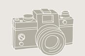 "Camera Card" - Business Cards in Cherry by ERAY - Detail