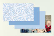 "Chrysanthemum Flourish" - Business Cards in Sky by LollieJ - Back of Card Options