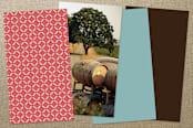 "Wedding Coordinator" - Business Cards in Robin's Egg Blue by Jody Wody - Back of Card Options