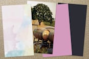 "Color Splash" - Business Cards in Lilac by Lea O. - Back of Card Options