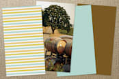 "Colorful Impression" - Business Cards in Seafoam by Robert True of Waui Design - Back of Card Options