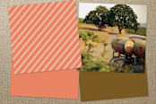 "Corner Boutique" - Business Cards in Orange Whip by Monica Tuazon - Back of Card Options