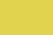 "Mustard Stripe" - Business Cards in Pea by Laura Hankins - Detail