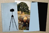 "Tripod" - Business Cards in Cornflower Blue by Hooray Creative - Back of Card Options