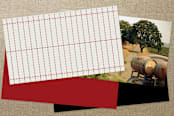 "Vintage Hollywood Ticket" - Business Cards in Crimson by Erin Nelson - Back of Card Options