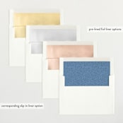 "Baby Vines" - Baby Shower Invitations in Sky by Alethea and Ruth - Envelope Liner Options