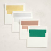 "Stork Party" - Baby Shower Invitations in Apple by Zani van Zyl - Envelope Liner Options