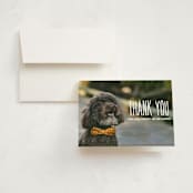 "From your furry first-born" - Birth Announcement Thank You Cards in Lily by Lea Delaveris - Front