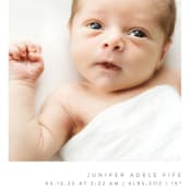 "Chic Introduction" - Birth Announcements in Storm by Olivia Raufman - Detail
